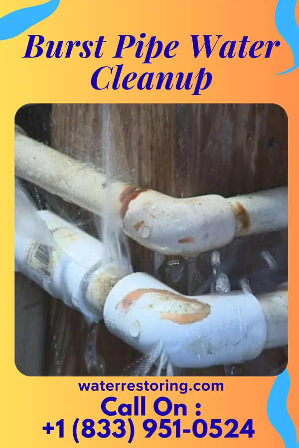 Burst Pipe Water Cleanup in Youngstown, OH