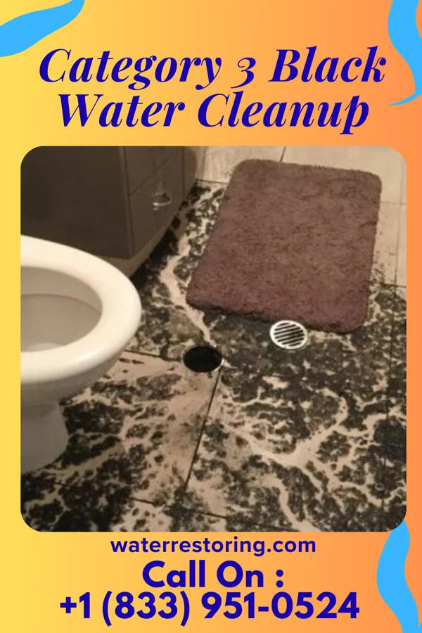 Category 3 Black Water Cleanup in Youngstown, OH