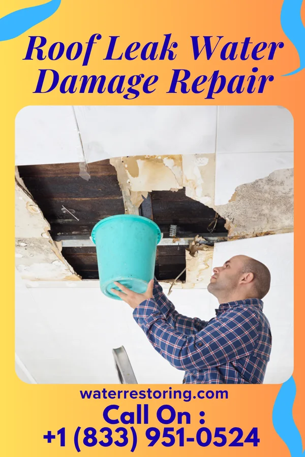 Roof Leak Water Damage Repair in Youngstown, OH