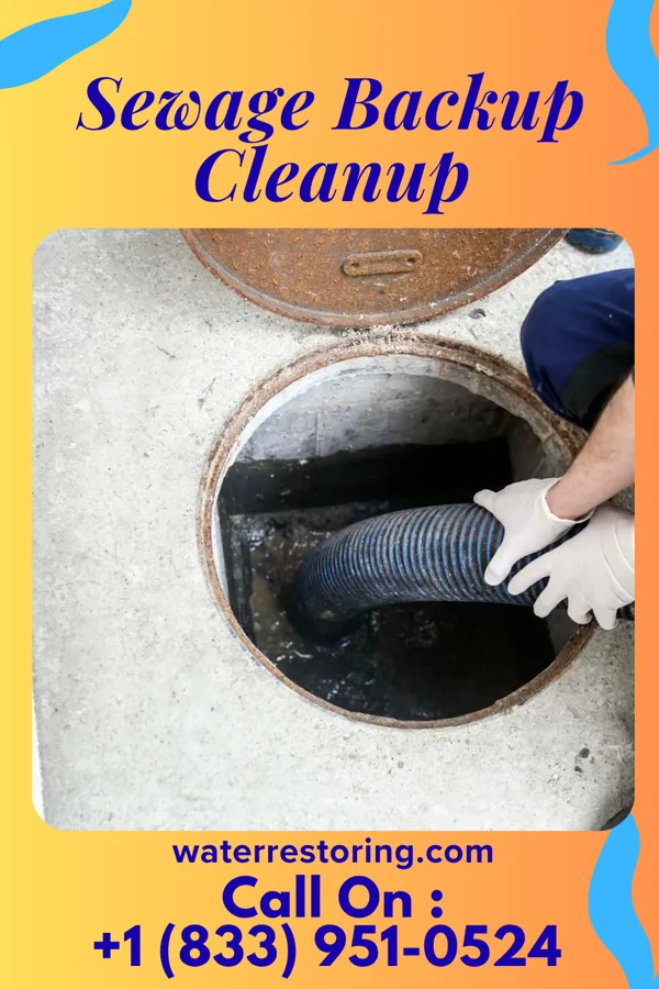 Sewage Backup Cleanup in Youngstown, OH
