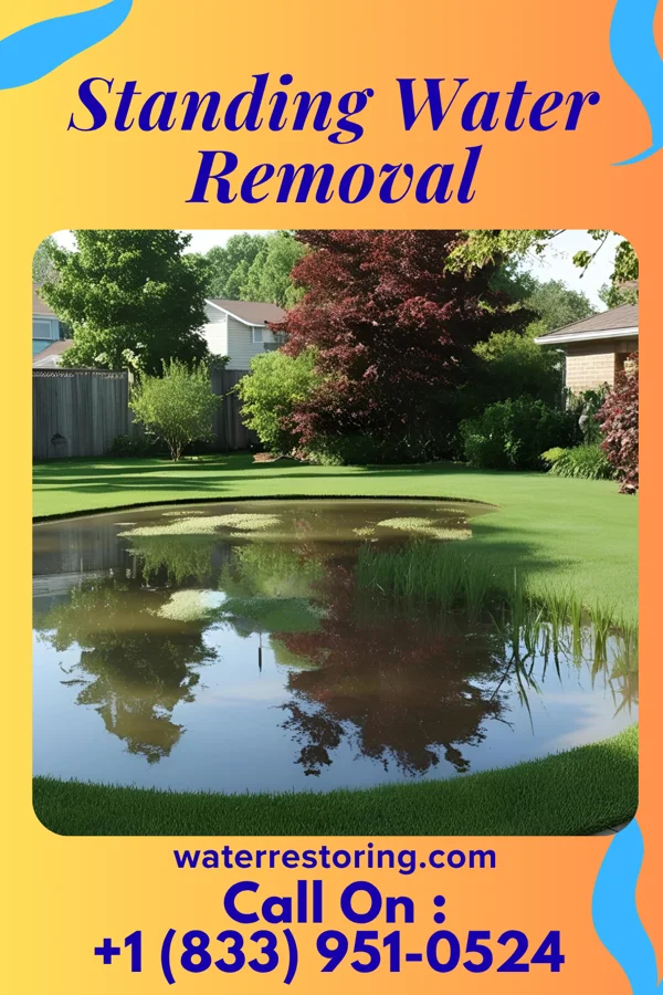 Standing Water Removal in Youngstown, OH